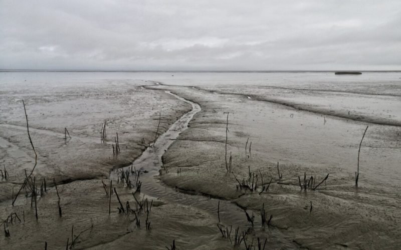 Flood & Drought Relief